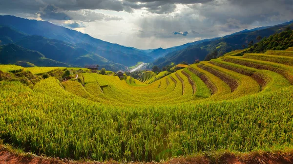 Cang Chai Rizière Terrasses Paysagères Près Sapa Vietnam — Photo