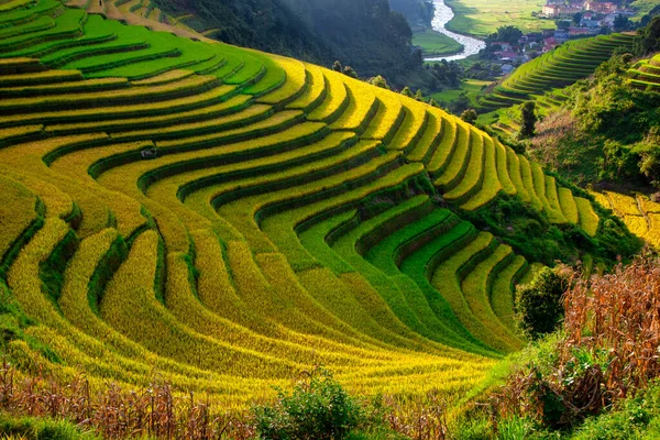 Cang Chai Rizière Terrasses Paysagères Près Sapa Vietnam — Photo