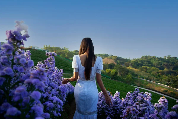 Schöne Mädchen Einem Feld Von Lavendel Mit Travel Lifestyle Konzept lizenzfreie Stockfotos