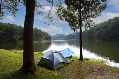 Kamp, kamp maceraları ve çadır altında su sabah ve günbatımında Pang-ung, çam ormanı Parkı, Mae Hong Son, Kuzey Tayland, orman arka plan açık çam ormanı. Kavram seyahat