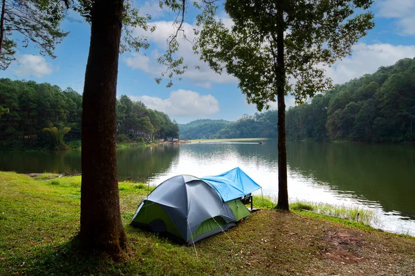Camping Adventures Camping Tent Pine Forest Water Outdoor Morning Sunset — Stock Photo, Image