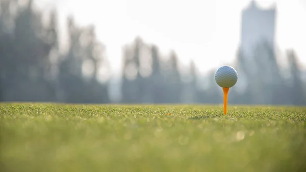 Golflabda Golfpályán Hobbi Nyaralni Nyaralni Golf Klubban Életmód Sport Koncepció — Stock Fotó