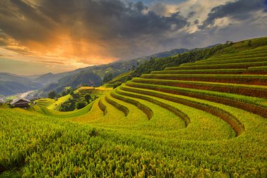 Pirinç tarlaları üzerinde Mu Cang Chai, Yenbai, Vietnam Teras. Vietnam manzaralar.