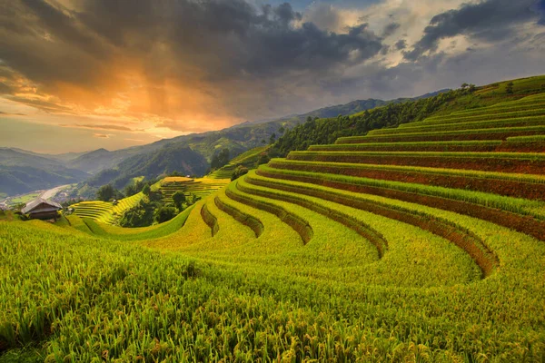 Rizières Terrasses Cang Chai Yenbai Vietnam Paysages Vietnam — Photo