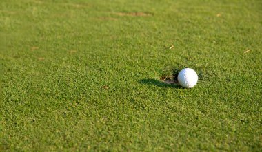 Golf topuyla birlikte yeşil çimenler güneş ışığında yumuşak odak noktasında. Golf kulübü konsepti için spor sahası