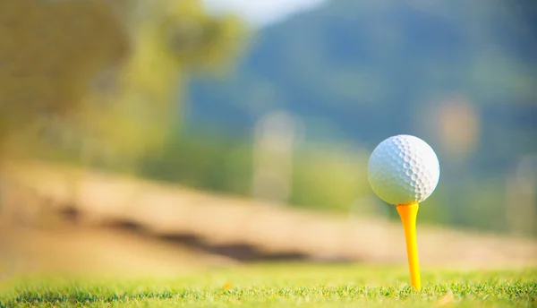 Grama Verde Com Bola Golfe Close Foco Suave Luz Sol — Fotografia de Stock