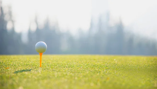 Grünes Gras Mit Golfball Nahaufnahme Weichen Fokus Bei Sonnenlicht Sportplatz — Stockfoto