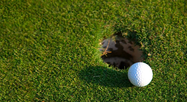 Grünes Gras Mit Golfball Nahaufnahme Weichen Fokus Bei Sonnenlicht Sportplatz — Stockfoto