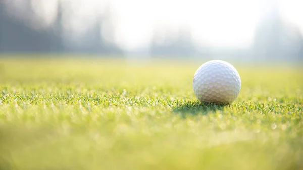 Hierba Verde Con Pelota Golf Primer Plano Enfoque Suave Luz —  Fotos de Stock