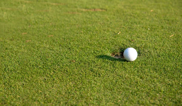 太陽の光で柔らかい焦点にゴルフボールのクローズアップと緑の草 ゴルフクラブのコンセプトのためのスポーツ遊び場 — ストック写真