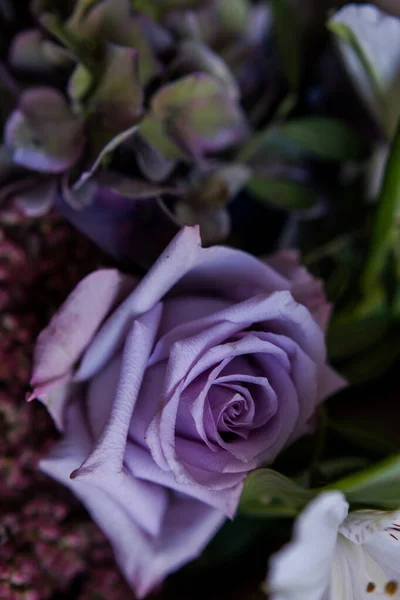 Buquê Rosas Lilás Alstroemeria Hortênsia Escura Luxuoso Buquê Noir — Fotografia de Stock