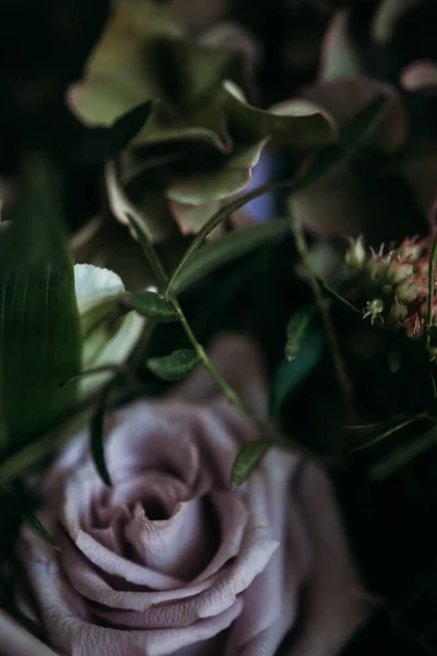 一束紫丁香玫瑰 金银花和深色水仙花 一个豪华的黑木花束 图库图片