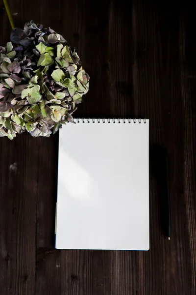 Ανοιχτό Λευκό Σημειωματάριο Σκούρο Ξύλινο Φόντο Κλαδί Ορτανσίας — Φωτογραφία Αρχείου