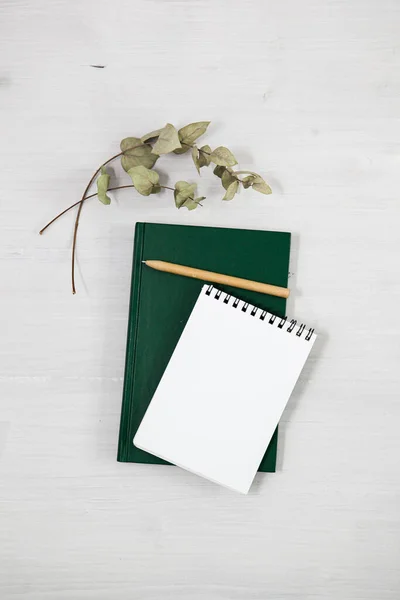 an open white notebook on a green diary, an eco-friendly pen on a light background, a branch of greenery