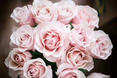 Pahalı bir bukette pembe gül tomurcukları