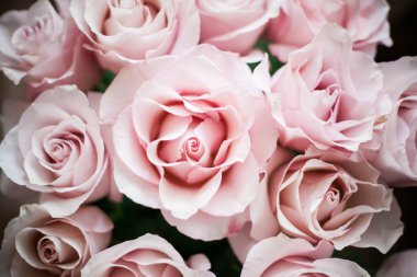 Pahalı bir bukette pembe gül tomurcukları