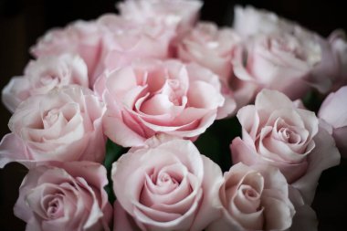 Pahalı bir bukette pembe gül tomurcukları