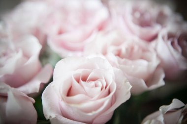 Pahalı bir bukette pembe gül tomurcukları