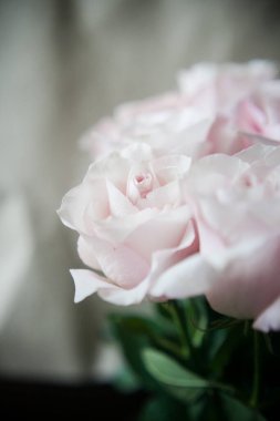 Pahalı bir bukette pembe gül tomurcukları