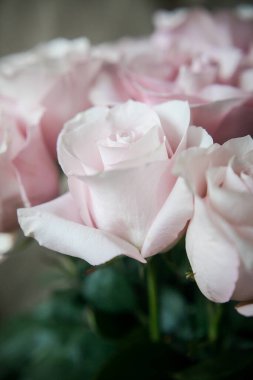 Pahalı bir bukette pembe gül tomurcukları