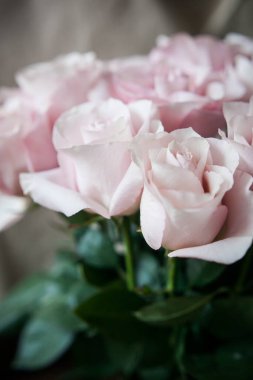 Pahalı bir bukette pembe gül tomurcukları