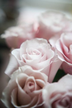 Pahalı bir bukette pembe gül tomurcukları