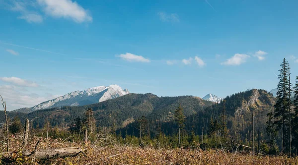 Parque Nacional Tatra, Polonia. Rutas de senderismo En otoño. Hermosa vista panorámica. Naturaleza Europea. Reservas de la UNESCO, concepto natural —  Fotos de Stock