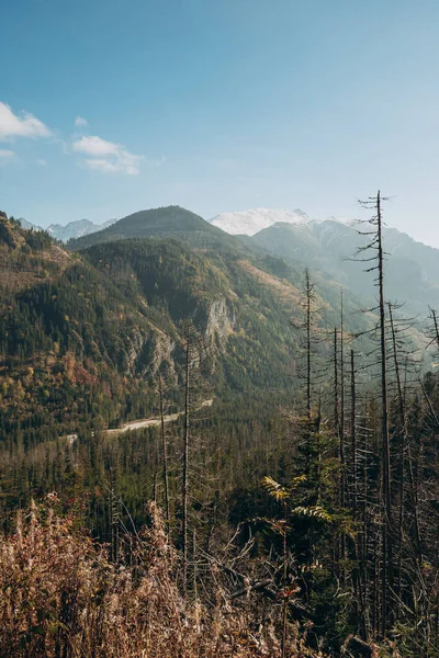 Tatra National Park, Polsko. Turistická stezka na podzim. Krásný výhled na scénu. Evropská příroda. UNESCO rezervy, koncepce přírody — Stock fotografie