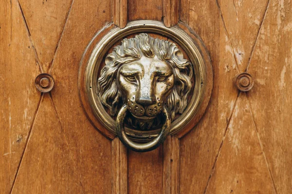 Golpeador de puerta de oro en forma de león con anillo en una puerta marrón de madera — Foto de Stock