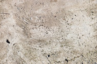 Arka plan için eski kirli gri beton döşeme dokusu