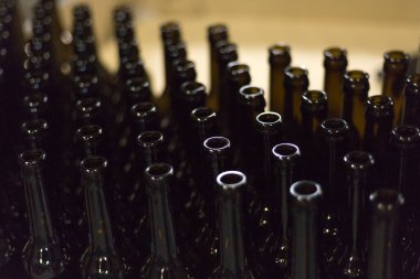 Glass products. Bottles for drinks. Industrial work, automated production of food and drinks. Details of local beer production line, Many bottles on conveyor belt in factory