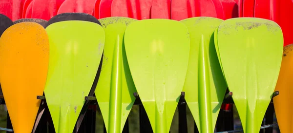 Set of colorfur paddles of kayak and canoe sport, many plastic paddles. Rent of equipment for swimming in the ocean or sea, summer time — Φωτογραφία Αρχείου