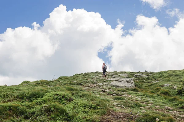 Güneşli bir yaz gününde dağlarda yürüyüş yapan bir kadın. Özgürlük, mutluluk, seyahat ve tatil konsepti, açık hava aktiviteleri. Karpat Dağları, Ukrayna, Avrupa. Toprağın güzelliğini keşfedin.