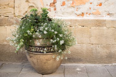 Şehir caddesinde çiçek saksısı. Bitkilerle dolu İtalyan verandası. Sokak dekorasyonu. Şehirdeki bitkiler.