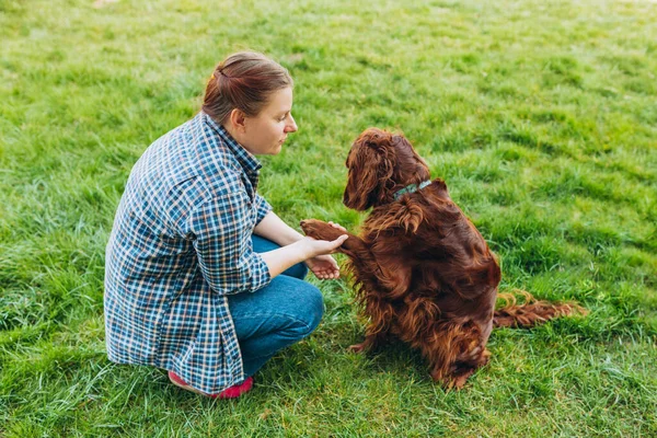 美丽的红头发女人在公园外面和快乐的爱尔兰猎狗玩耍 女孩和狗坐在绿草上 生活风格肖像 — 图库照片