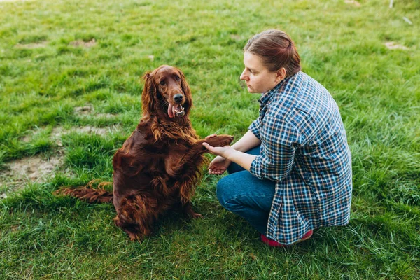 Beautiful young redhead woman playing with happy irish Setter dog in a park outdoors. Girl sitting on a green grass with dog. Lifestyle portrait. Summer time, women teaching dog to give the paw. — Fotografia de Stock