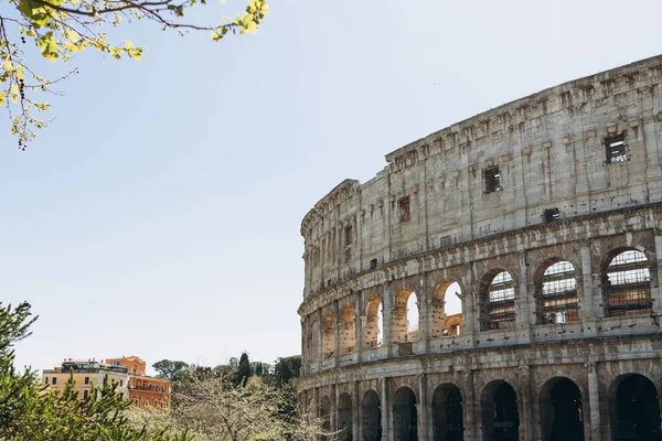 Большой Римский Колизей Колизей Колизей Известный Флавийский Амфитеатр Знаменитая Достопримечательность — стоковое фото