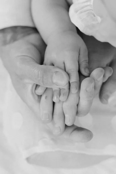 Las manos de una familia juntas primer plano sobre fondo claro — Foto de Stock