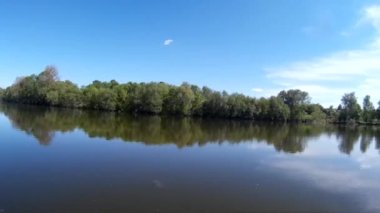 Genç bir kadın ve bir adam kanoda kürek çekiyor. Ukrayna, Güney Böcek Nehri, Khmelnytskyi POV aksiyon kamerası