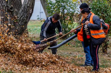 Uzhgorod, Ukrayna - 2 Kasım 2021: İşçiler bir sonbahar günü bahçeden düşen yaprakları temizliyorlar.