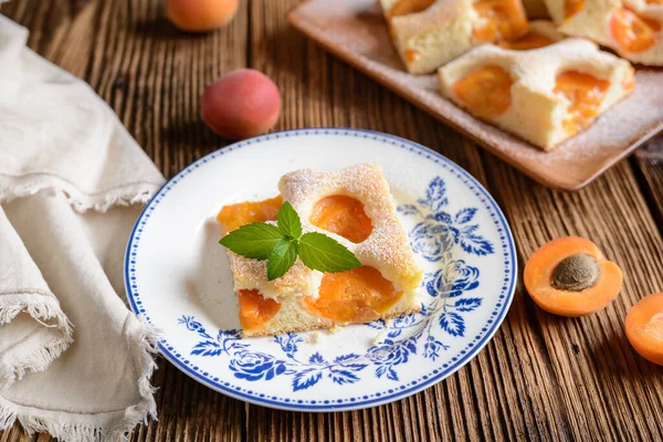 Traditional Homemade Apricot Sponge Cake Sprinkled Powdered Sugar — Fotografie, imagine de stoc