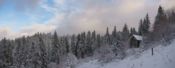 Vista panorámica de la casa de granero moderna oculta en el bosque de pinos nevados — Foto de Stock