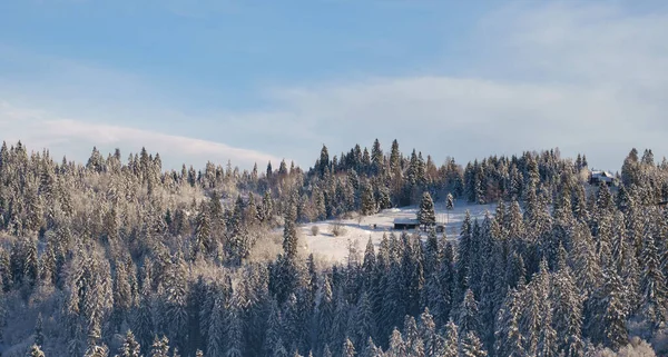 Pequeña cabaña escondida en el bosque nevado en las montañas de los Cárpatos en Ucrania —  Fotos de Stock