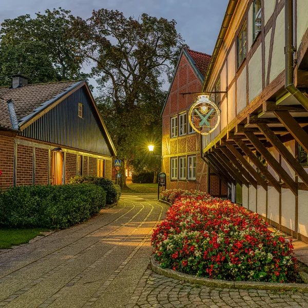 Anciennes Maisons Colombages Parterre Fleurs Rouges Ystads Frivillige Bergnings Corpus — Photo