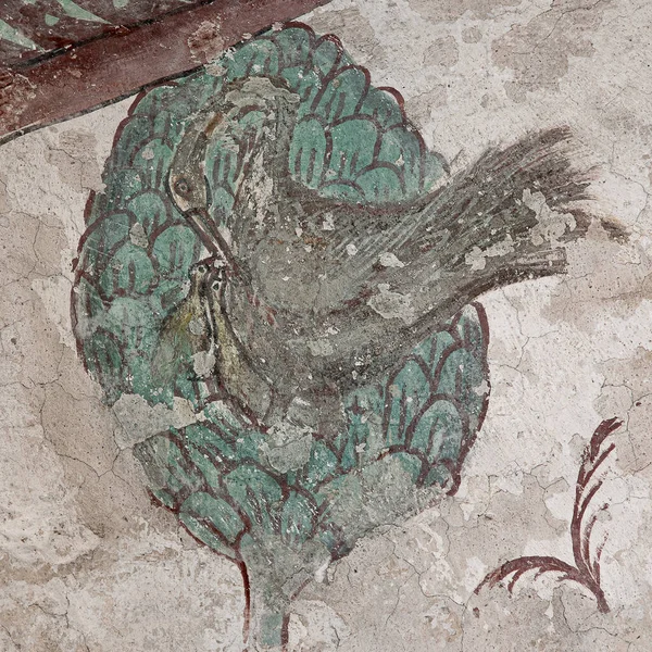 Phoenix Alimentando Seus Nestlings Com Seu Próprio Sangue Fresco 1476 Fotos De Bancos De Imagens