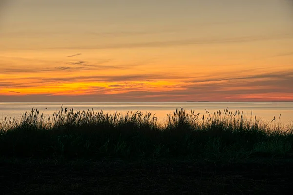 Silueta Hierba Dunas Contra Mar Sol Naciente Hvidbjerg Dinamarca Septiembre — Foto de Stock