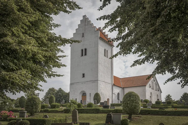 Vit Kyrka Med Högt Torn Inbäddat Två Stora Bokträd Skurup — Stockfoto