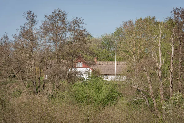 2022年5月9日デンマーク エジビーの自然だけで茅葺き屋根の別荘 — ストック写真