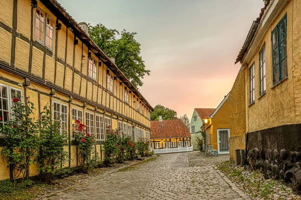 Old Half Timbered Museum Ancient Houses Cobbled Street Dim Evening — Foto Stock