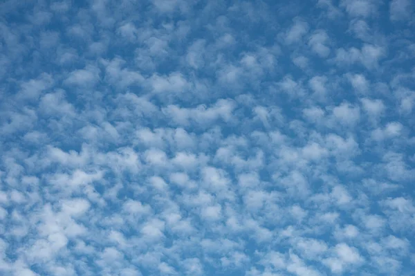 Mackerel Sky Buttermilk Sky Small Clouds Fish Shells Denmark August Fotos de stock